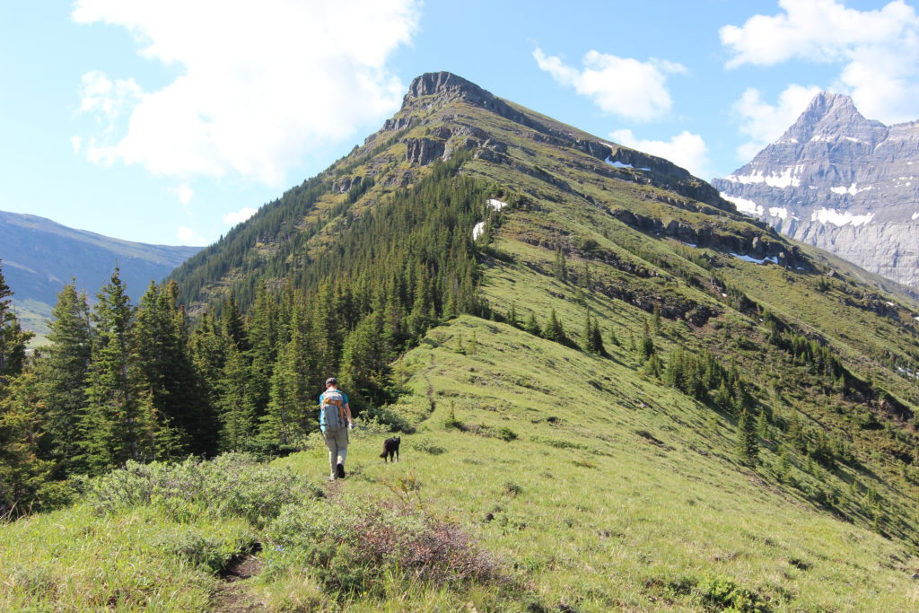  Mt Allan Traverse, Deadmans Flats